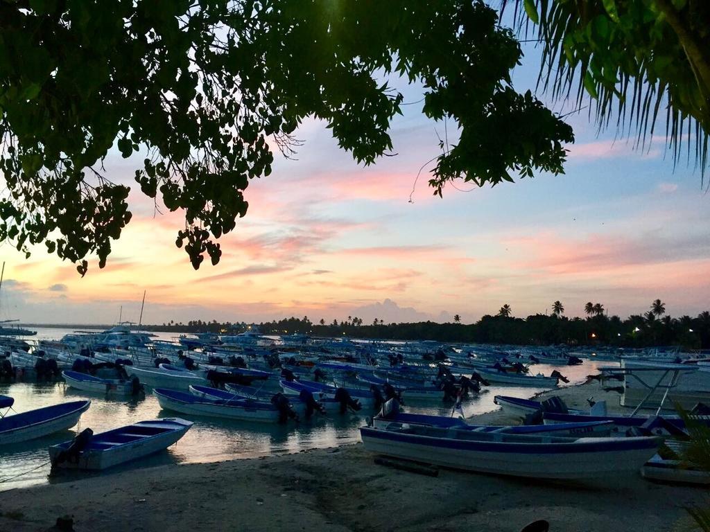 Albergo El Pulpo, Bayahibe Dış mekan fotoğraf