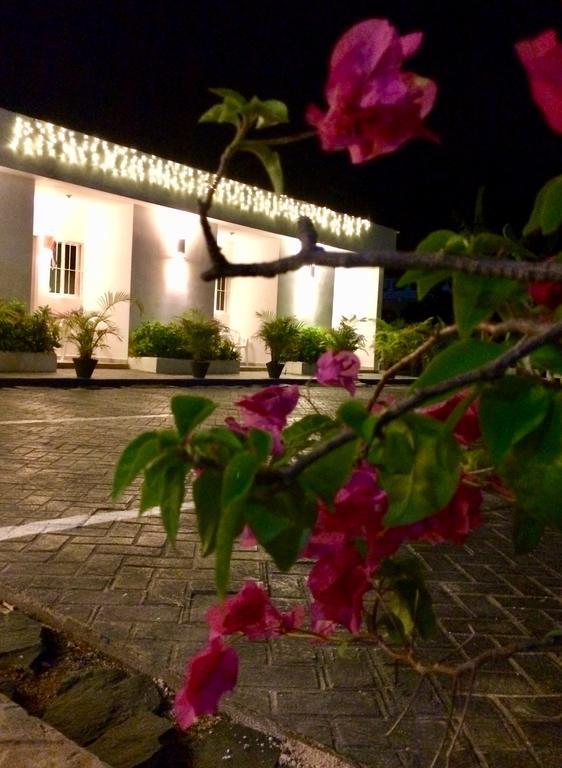 Albergo El Pulpo, Bayahibe Dış mekan fotoğraf